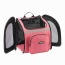 Coral - The Backpacker Pet Carrier