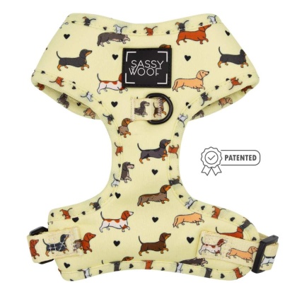 Doxie Delight - Adjustable Harness  - XSmall