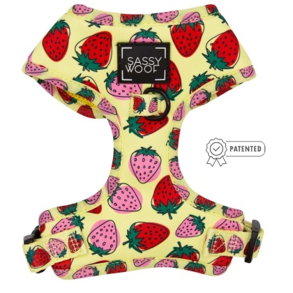 Strawberry Fields Furever - Adjustable Harness  - XSmall