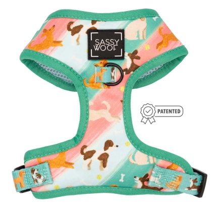 Oodles of Doodles - Adjustable Harness  - XSmall