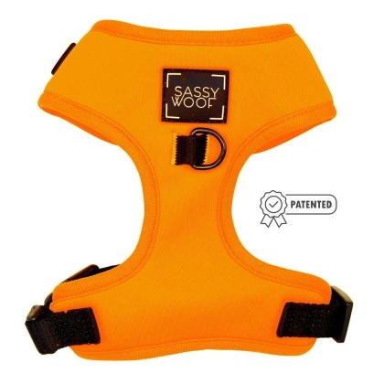 Neon Orange - Adjustable Harness  - Large