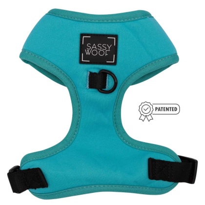 Neon Blue - Adjustable Harness  - Large