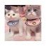 Pink - Love Bibs for Pets -