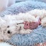 White - Marshmallow Pets Bed -  XS