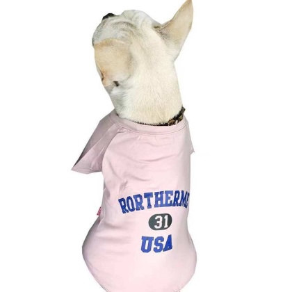 Pink - USA - Matching Pet and Owner Clothing Set -   Large