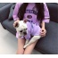 Purple - USA - Matching Pet and Owner Clothing Set -   Small