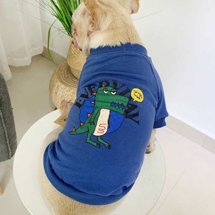 Blue - Everyday Dinosaur - Matching Pet and Owner Clothing Set -  Medium