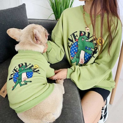 Green - Everyday Dinosaur - Matching Pet and Owner Clothing Set -  Small