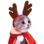 Merry Christmas Cloak for pets -