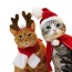 Merry Christmas Cloak for pets -