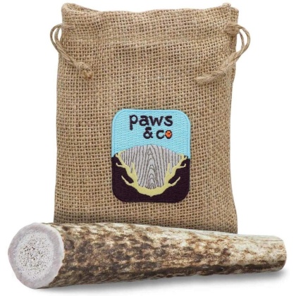 Whole Antler Chew - Small