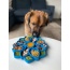 Blue  - Mandala Design eTray Enrichment Tray for Dogs