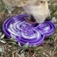 Purple  - Water Frog Design eTray Enrichment Tray for Dogs