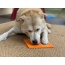 Orange - Zombie Design Emat Enrichment Lick Mat