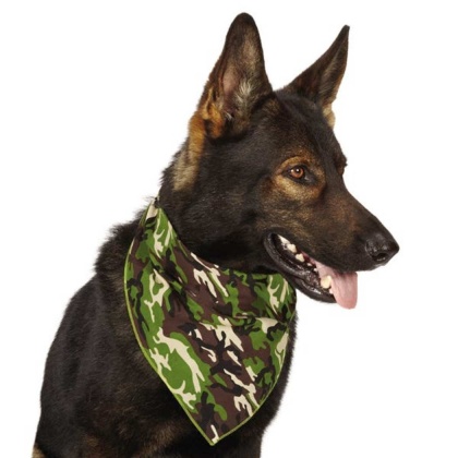 Green - AR Camo Bandana Grn