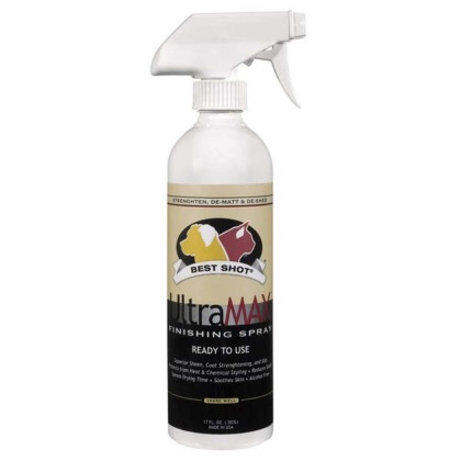 BT UltraMax Pro Finish Spray 34 oz - 34 oz