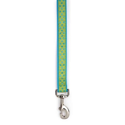 Green - CC Polka Dot Lead 6Ftx1In Grn - 6ftx1in