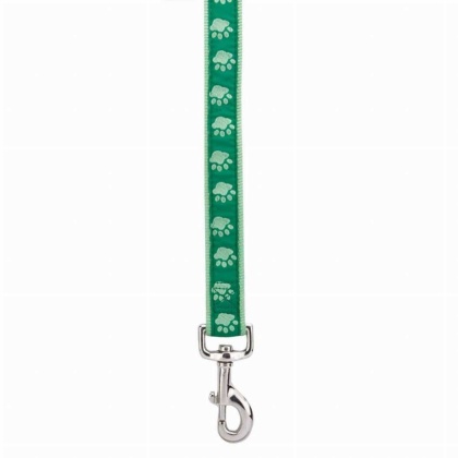 Green - CC TwoTone Pawprint Lead 4Ftx5/8In Grn - 4ftx5/8in