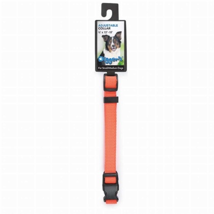 Neon Orange - DGR 1in Adjustable Collar Neon Org