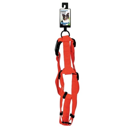 Neon Orange - DGR 1in Adjustable Harness Neon Org