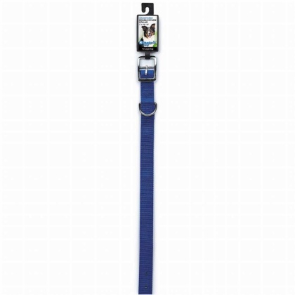 Blue - Diggers 1in Dbl Nylon Collar 28in Blu - 28in