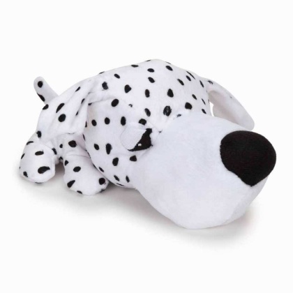 Dalmation - Digger\'s FatHedz Dalmation