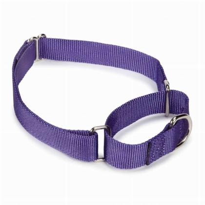 Purple - GG Nylon Martingale Collar 10-16In Pur - 10-16in