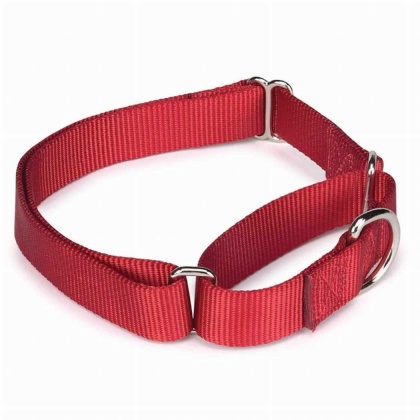 Red - GG Nylon Martingale Collar 10-16In Red - 10-16in