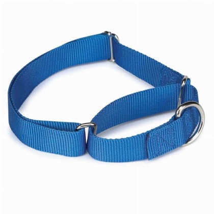 Blue - GG Nylon Martingale Collar 14-20In Blu - 14-20in