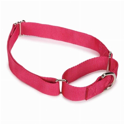 Pink - GG Nylon Martingale Collar 14-20In Pnk - 14-20in