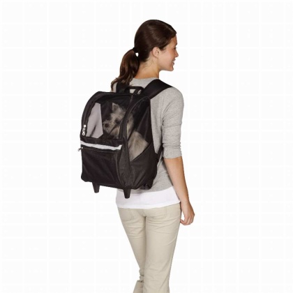 Black - CR On the Go Rolling Backpack Blk