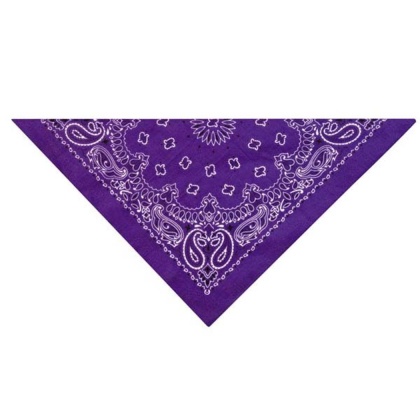 Dark Purple - TP Paisley Bandana DkPur