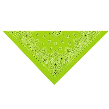 Light Green - TP Paisley Bandana Lt Grn