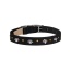 Black - Susan Lanci Designs Crystal Paws Collar - XL