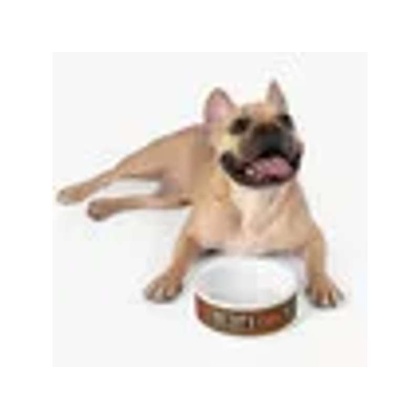 Savage Love Pet Feeding Bowl