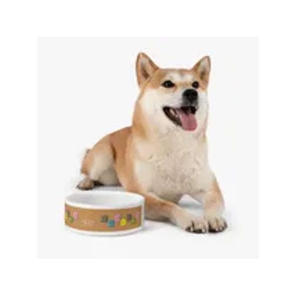 Spoiled Pet Feeding Bowl