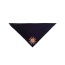 Grand Mesa - Dog Bandana - Small