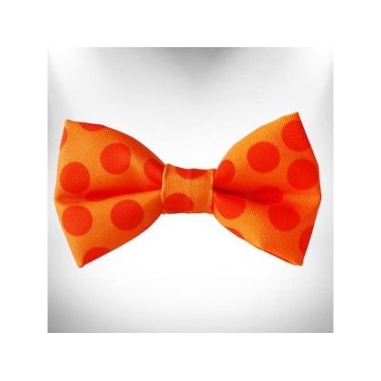 Orange - Polka Dot Dog - Monotone Bow Tie