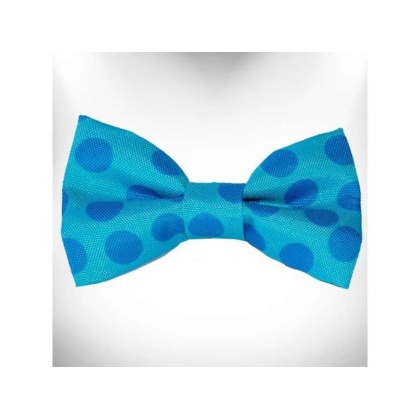 Turquoise - Polka Dot Dog - Monotone Bow Tie