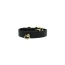 Black - Bee Mine Dog Collar - 10