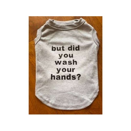 White - But did you wash your hands tee - X Small