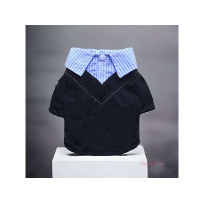 Dapper Boy Collar Dog Shirt - Small