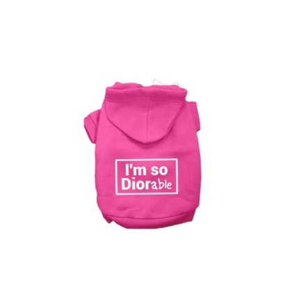 PINK - DIOR-able Hoodie - Small