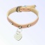 Pretty in Pink and Sniffany Collar - 12