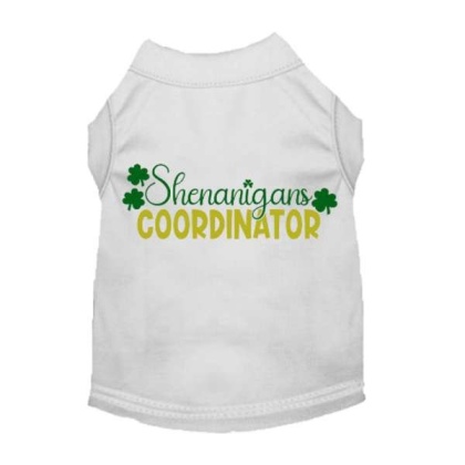 WHITE - Shenanigans Coordinator - Medium