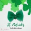 St. Patrick's Tulle Dog Hair Bow