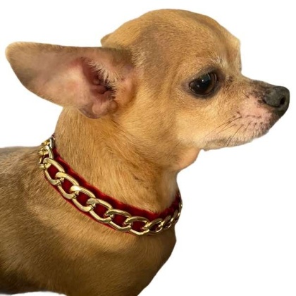 Burgundy - Gold Chain Velvet Collar - Small