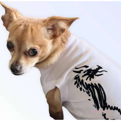 WHITE - Hairmes Dragon Tee - Large