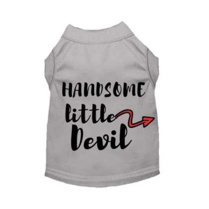 Gray - Handsome Little Devil - 2X Large