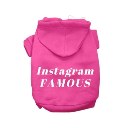 Pink - IG Famous Hoodie - X Small